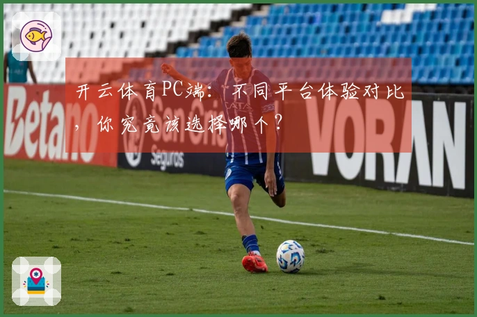 开云体育PC端：不同平台体验对比，你究竟该选择哪个？